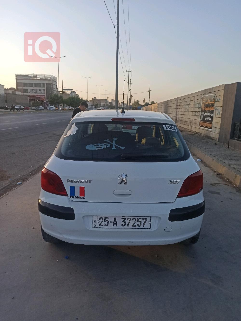 بيجو 307